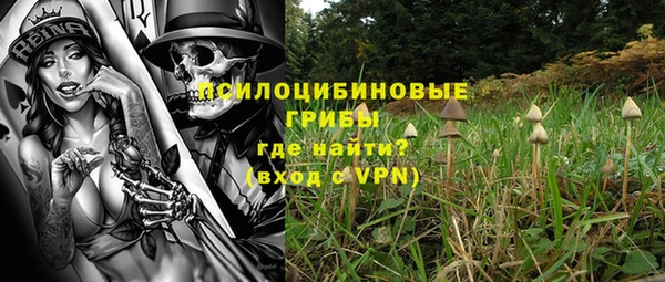 прущая мука Медногорск