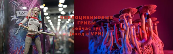 гидра Алзамай