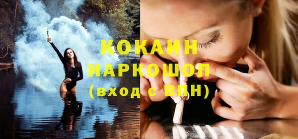 индика Абаза
