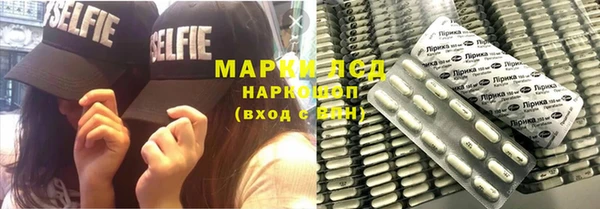 индика Абаза