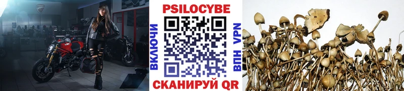 цены   Электроугли  Псилоцибиновые грибы GOLDEN TEACHER 