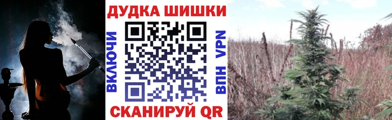OMG tor Электроугли darknet состав Марихуана White Widow